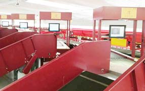 某快递物流中心交织带分拣项目